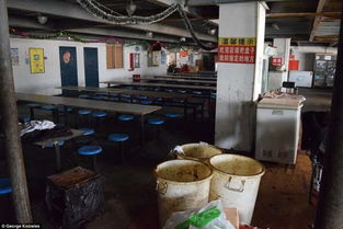 外媒報(bào)道引發(fā)關(guān)注 iPhone上海代工廠員工住宿服務(wù)引爭(zhēng)議