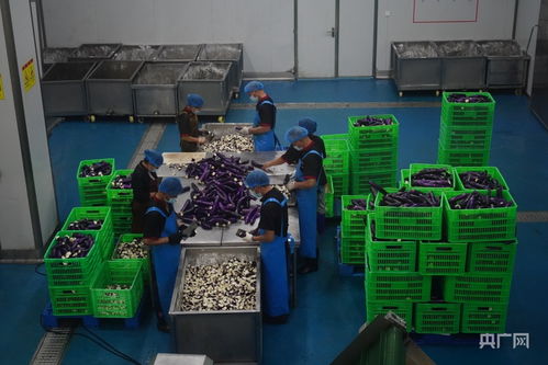 石泉富硒食品預制菜產(chǎn)業(yè)與五金產(chǎn)品制造協(xié)同發(fā)展 釋放產(chǎn)業(yè)升級“加速度”